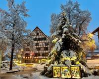 Adventsanlässe 
